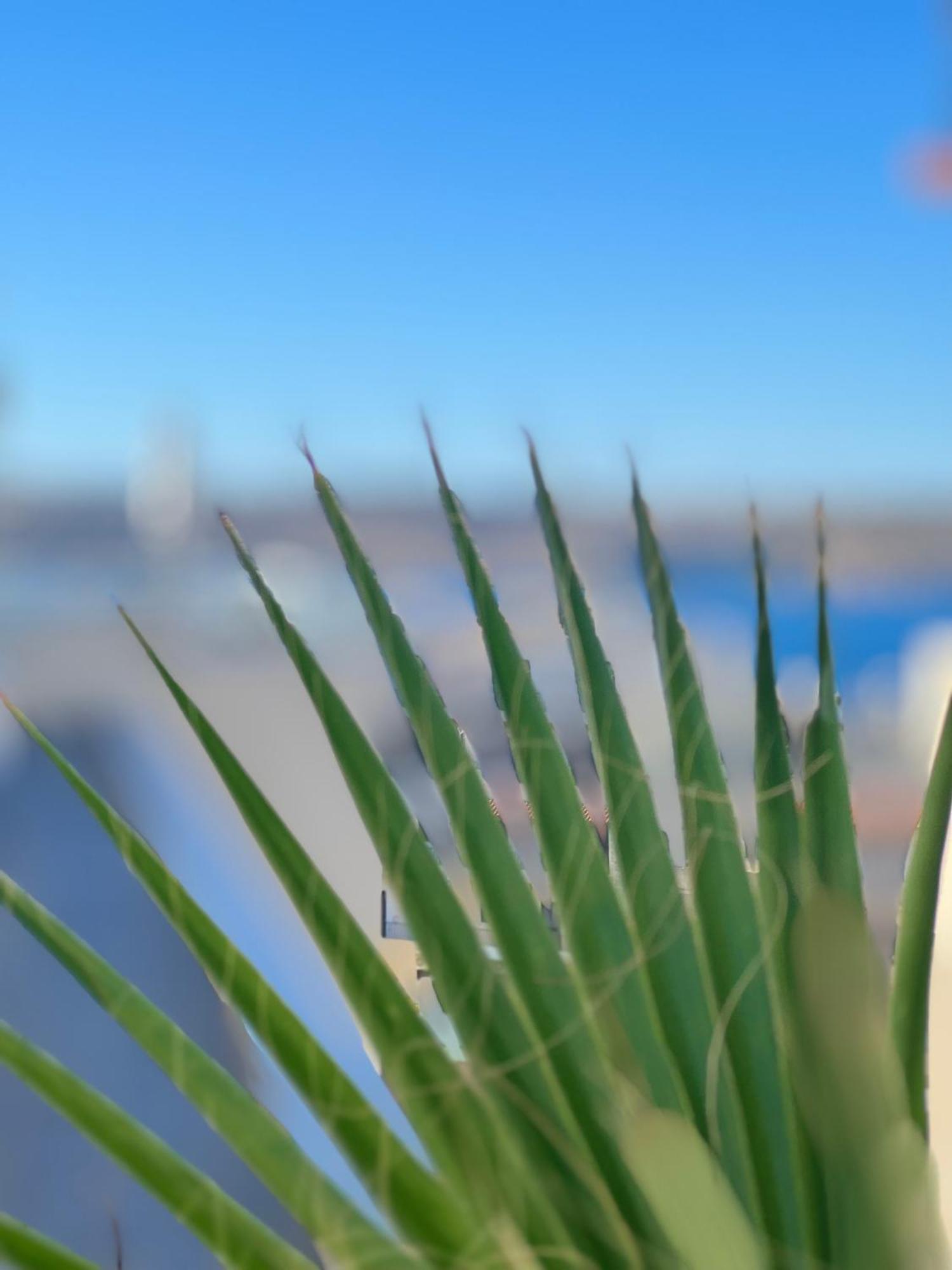 Modern & Spacious 2Br Penthouse With Terrace - Close To Qawra Beach San Pawl il-Baħar Zewnętrze zdjęcie